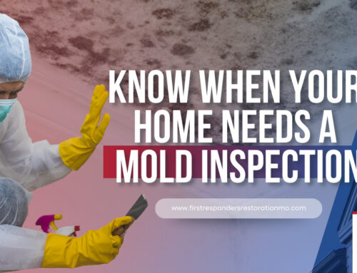 Is Your Missouri Home at Risk? When to Schedule a Mold Inspection After Flooding